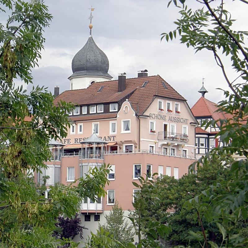 Apartments Mit Klimaanlage Am Neckarufer, Schoene Aussicht 바트프리에드리히셸 외부 사진