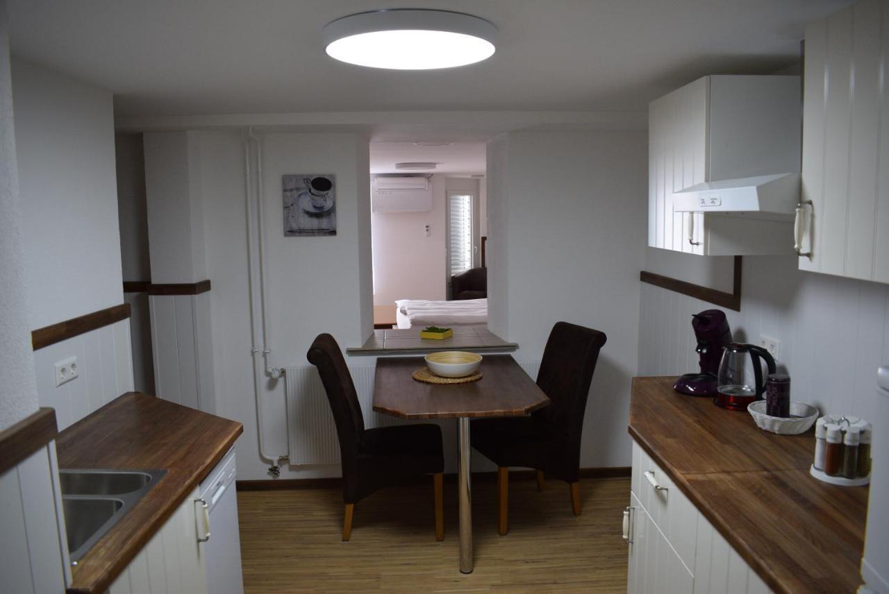 Apartments Mit Klimaanlage Am Neckarufer, Schoene Aussicht 바트프리에드리히셸 외부 사진