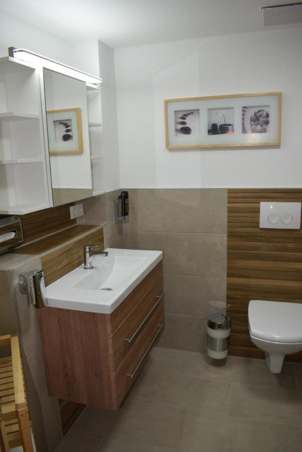 Apartments Mit Klimaanlage Am Neckarufer, Schoene Aussicht 바트프리에드리히셸 외부 사진