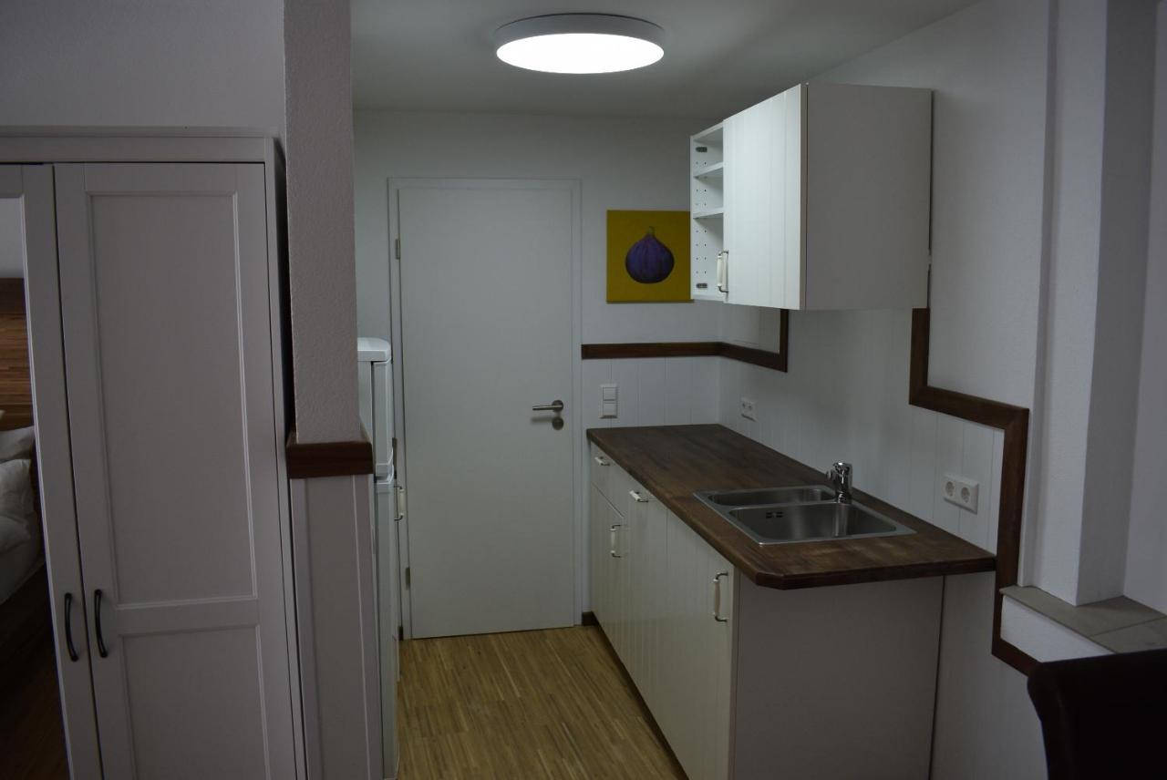 Apartments Mit Klimaanlage Am Neckarufer, Schoene Aussicht 바트프리에드리히셸 외부 사진